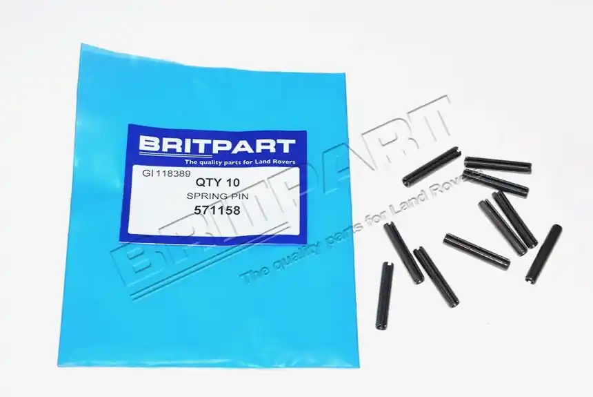 Sofort Bestellen SPRING PIN