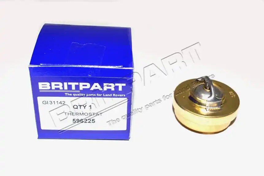 Knallerangebot THERMOSTAT
