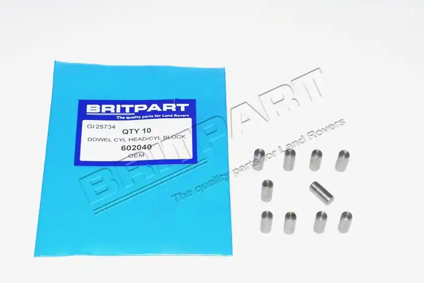 Zertifiziert DOWEL CYL HEAD/CYL BLOCK