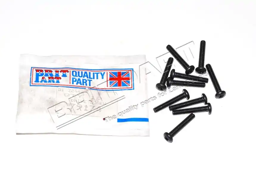 DRIVE SCREW Sale