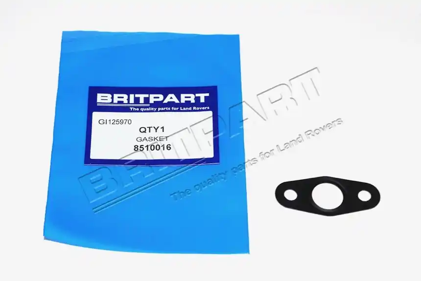 Direktkauf GASKET