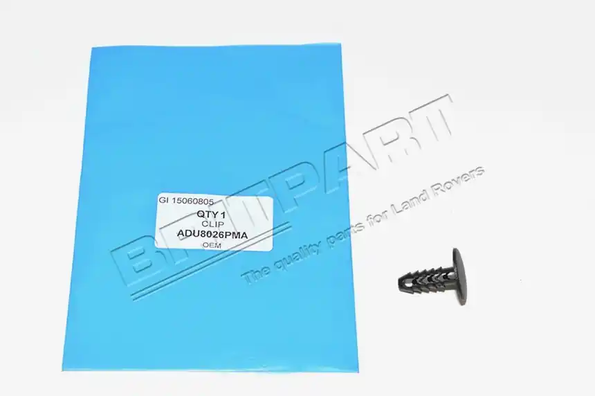 Knallerangebot CLIP