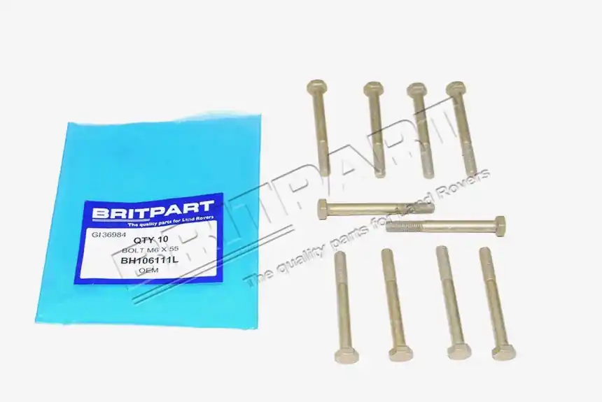 Preis Gesenkt BOLT M6 X 55