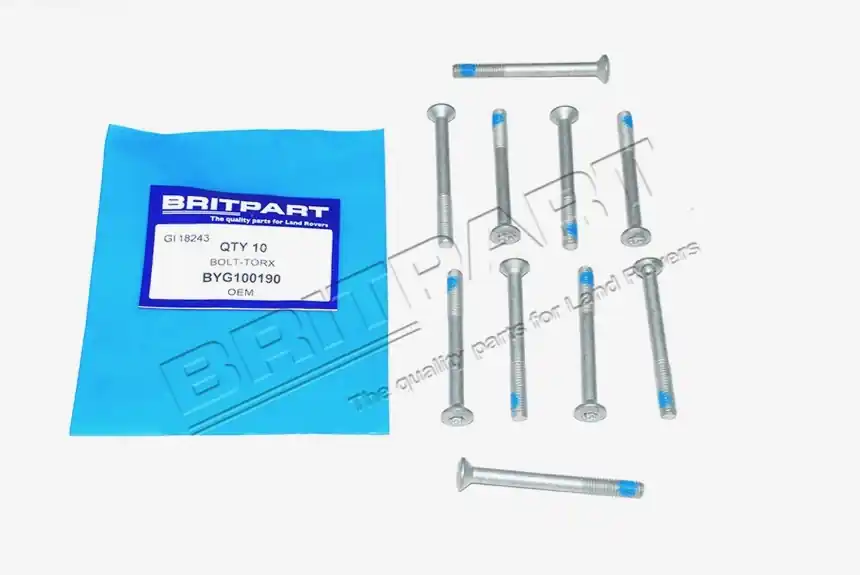 BOLT-TORX Letzte Chance