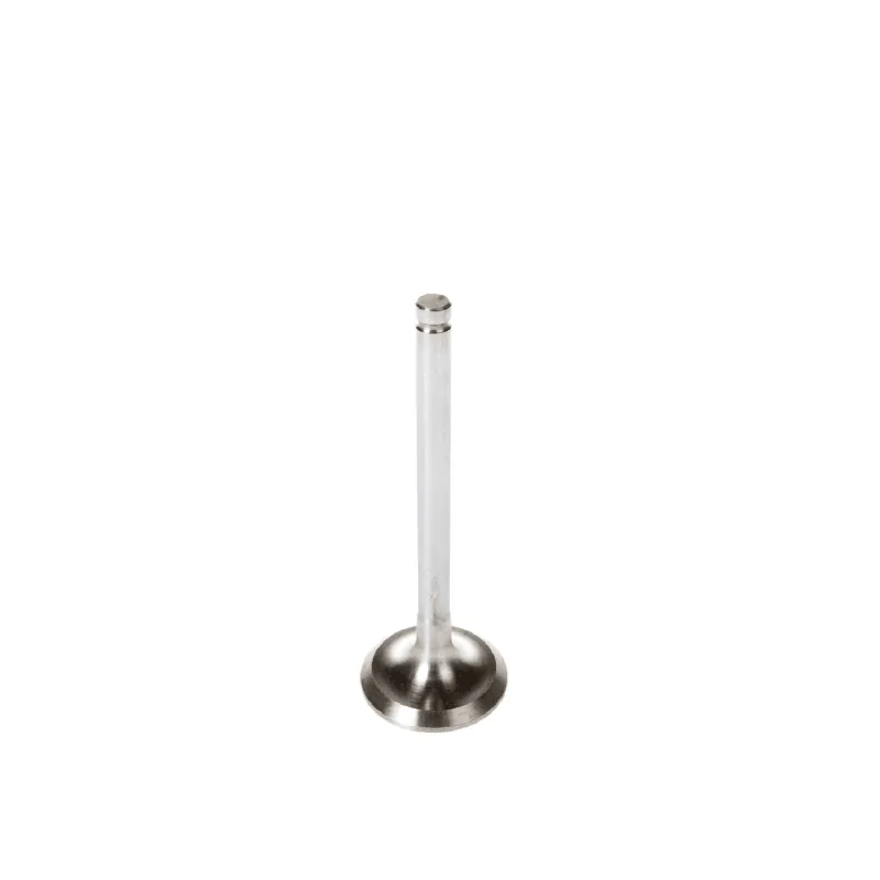 Auslassventil Top-Angebot