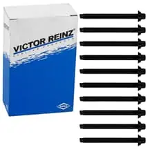 REINZ ZYLINDERKOPFSCHRAUBEN-SATZ M12x120mm für CITROËN BERLINGO C15 JUMPY XSARA Schneller Versand