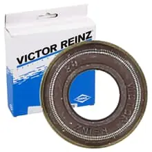 REINZ VENTILSCHAFTDICHTUNG passend für FIAT SCUDO MERCEDES-BENZ VARIO Begrenztes Angebot