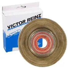 Bestpreis REINZ VENTILSCHAFTDICHTUNG für CITROËN C4 C5 C8 EVASION JUMPY XANTIA XM XSARA