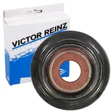 Direkt Vom Hersteller REINZ VENTILSCHAFTDICHTUNG für CITROËN BERLINGO C4 C5 C8 EVASION JUMPER JUMPY