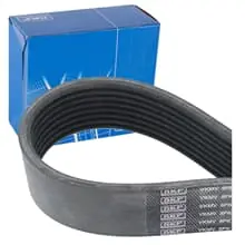 Finale Aktion SKF KEILRIPPENRIEMEN 8PK1217mm passend für MAZDA 6