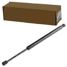 NTY GASFEDER KOFFERRAUM-LIFTER HINTEN passend für CHRYSLER 300C AE-CH-027 Neue Ware