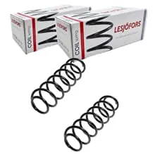2X LESJÖFORS FAHRWERKSFEDERN HINTEN PASSEND FÜR SEAT CORDOBA IBIZA SKODA FABIA Neue Ware