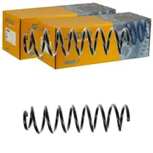 Mega-Angebot 2X SPIDAN FAHRWERKSFEDERN HINTEN PASSEND FÜR RENAULT MEGANE LINKS+RECHTS